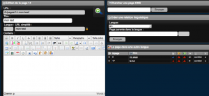 Edition d'une page CMS intuitive