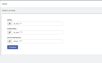 Plugin Stripe pour Magix CMS