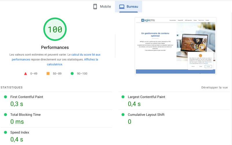 Google PageSpeed Insights